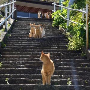 喜欢