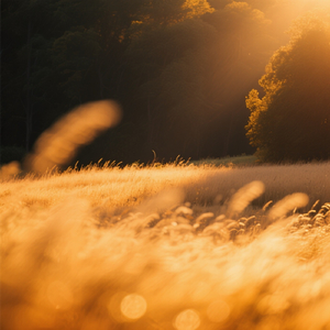 Warm Drift