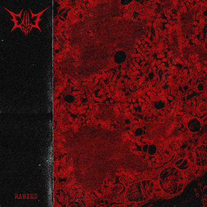 Rabies
