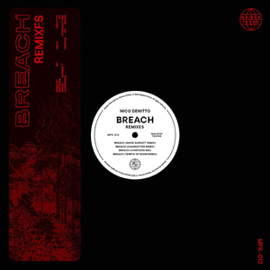 Breach (David Surratt Remix)