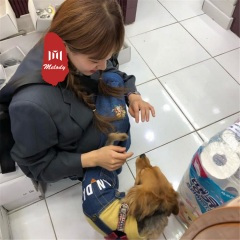 只有你让我心动又让我心痛