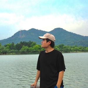 卷珠帘（抖音版）