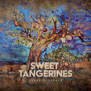 Sweet Tangerines