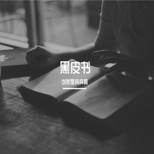 黑皮书