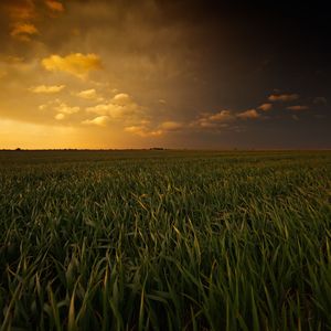 钢琴白噪音引梦之境