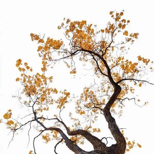 导出26-04-27-09-10-17.wav