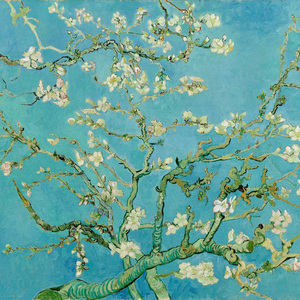 白鸽 伍佰 纯音乐