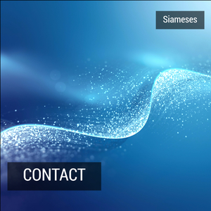Contact