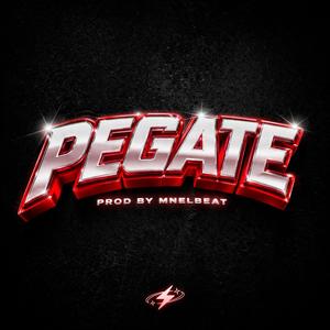 PEGATE
