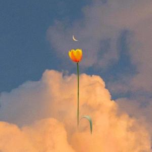 刚买的飞机被打啦(AI)