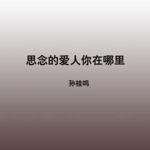 思念的爱人你在哪里