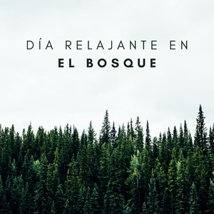 Sensación Del Viento