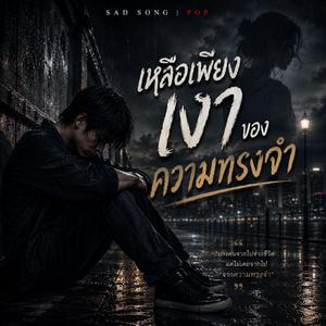 เหลือเพียงเงาของความทรงจำ
