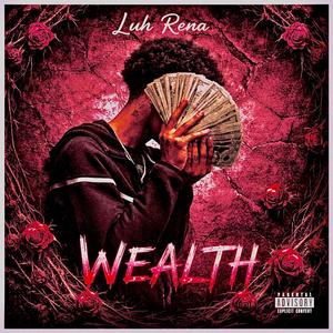 Wealth