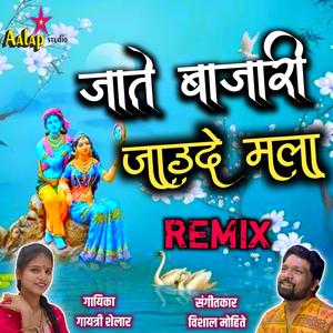 Jate Bajari Jaude Mala Sambal Mix (feat. Gayatri Shelar)