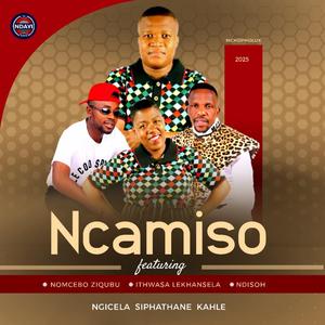 Ngicela siphathane kahle (feat. Ithwasa lekhansela, Nomcebo Ziqubu & Ndisoh)