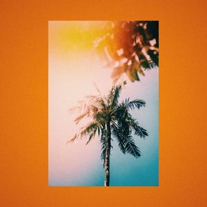 summer evening. (feat. Francesco Fioravanti)