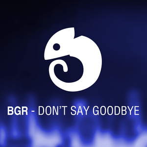 Don't Say Goodbye