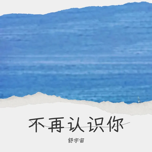 不再认识你
