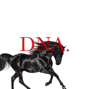 Lil Nas X/Kendrick Lamar-Old Town DNA.（ED.Die Remix）