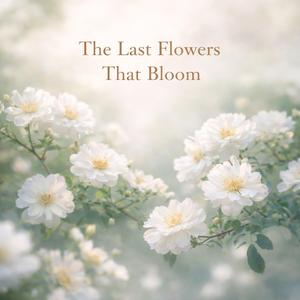 开到荼靡花事了