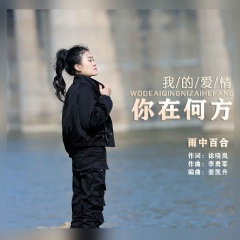 我的爱情你在何方