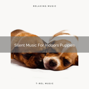 Silent Music For Faithful Puppies