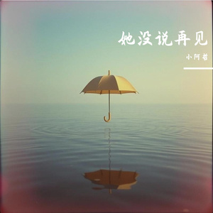 她没说再见 伴奏
