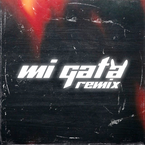 Mi Gata (Remix)