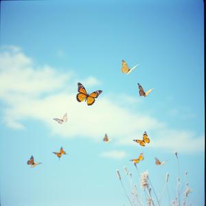青い空雲が流れてる
