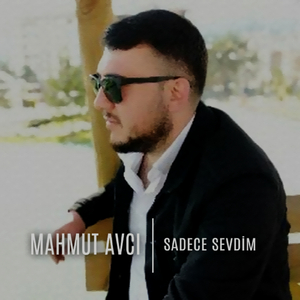 Sadece Sevdim