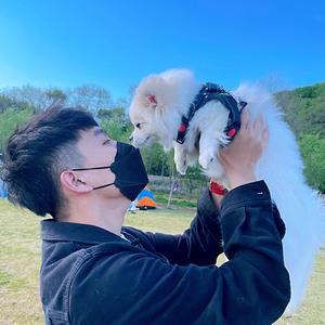 空心