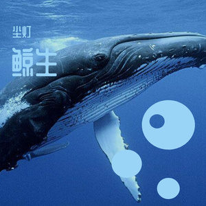 鲸生