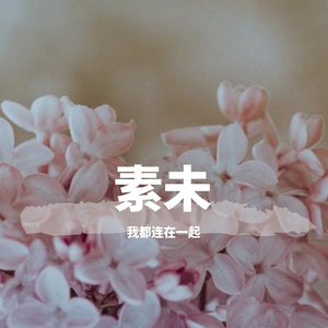 浅安