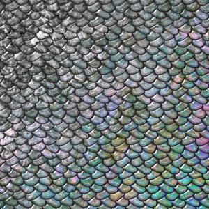 Los peces en el río (feat. Anna S.)