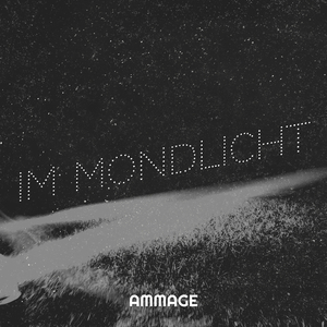Im Mondlicht