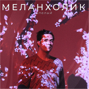 Меланхолик