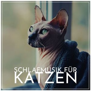 Schlaftherapie