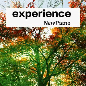 Experience (live) - Ludovico Einaudi