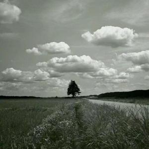 回忆里的那个人