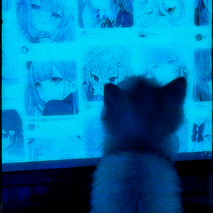 my kitten (speed up)