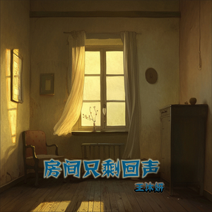 房间只剩回声