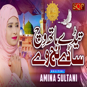 Tede Hath Vich Sadi laj Ve