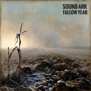 Morning On The Fenceline