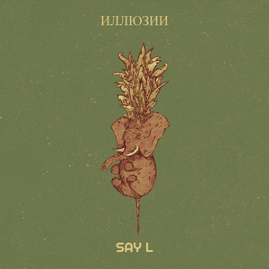 Иллюзии