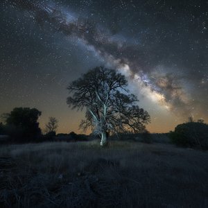 You Are Me Everything