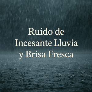 Ruido de Incesante Lluvia Bajo el Cielo Gris