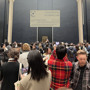 Distracted by the Mona Lisa