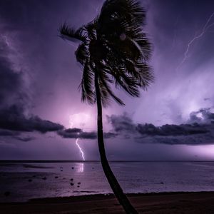 Orange Leather Seats Lucki