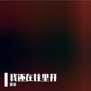 我还在往里开
